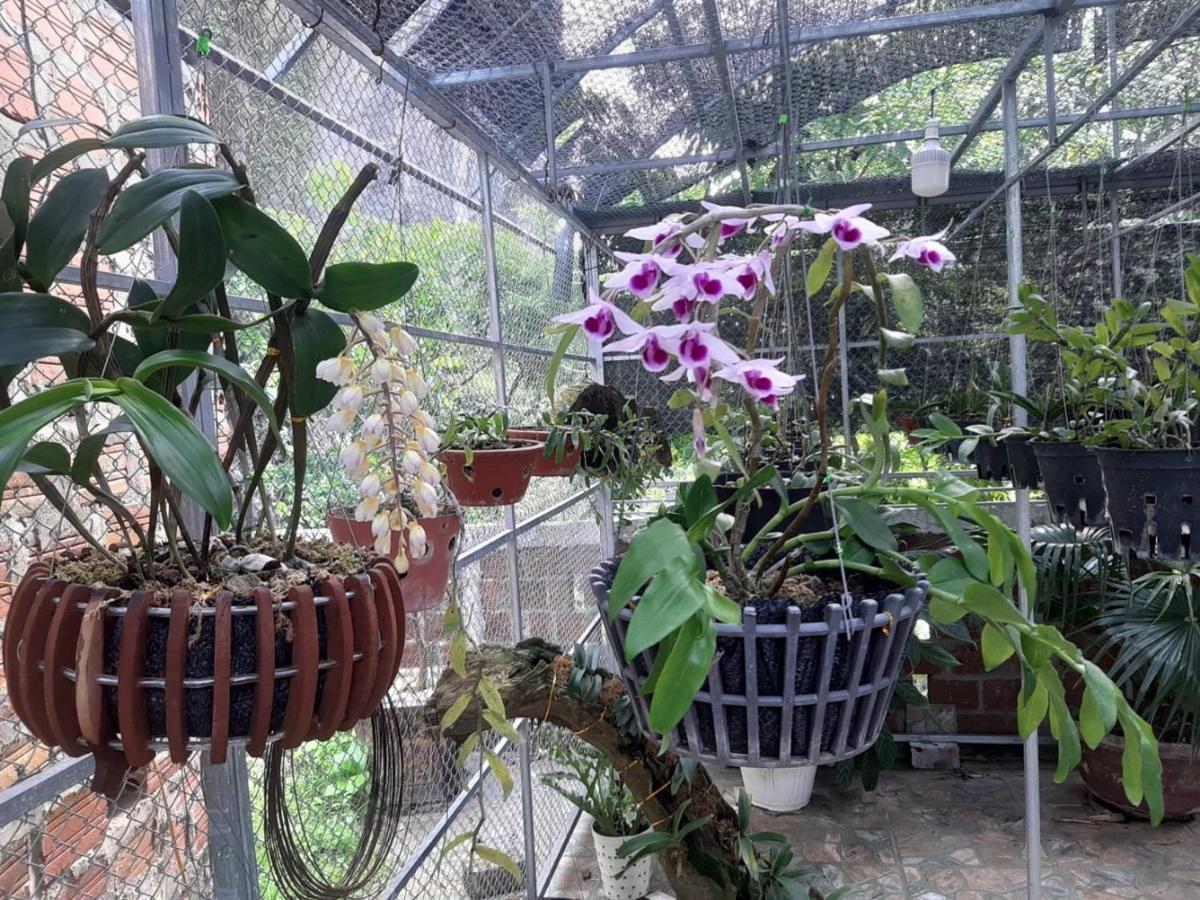 Thien Thanh Hotel Phong Nha Buitenkant foto