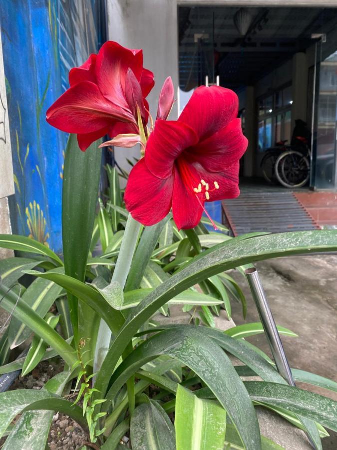 Thien Thanh Hotel Phong Nha Buitenkant foto