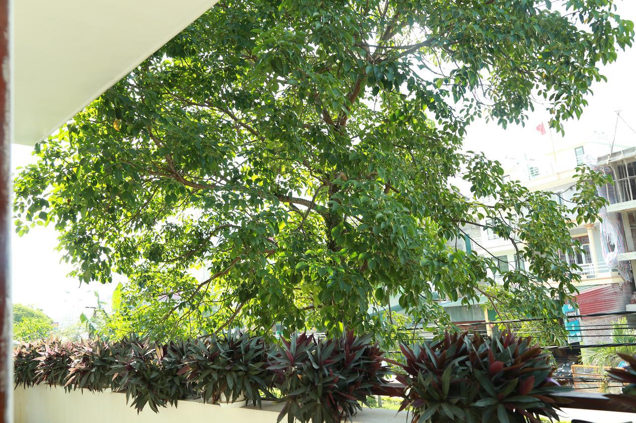 Thien Thanh Hotel Phong Nha Buitenkant foto